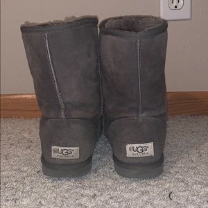 grey uggs